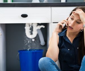 About Plumbers Pros Pointe Aux Pins, MI